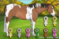 Horse Color:Bay Roan Splash Tobiano