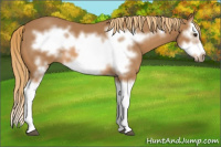Horse Color:Chestnut Splash Frame