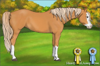 Horse Color:Chocolate Palomino Splash 
