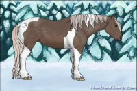 Horse Color:Silver Brown Tobiano 