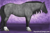 Horse Color:Blue Roan 