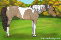 Horse Color:Buckskin Roan Tobiano 