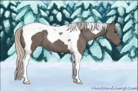 Horse Color:Silver Black Tobiano 