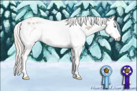 Horse Color:Silver Grullo Ice Splash Tobiano 