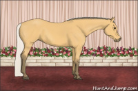 Horse Color:Silver Buckskin 