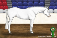 Horse Color:Palomino Blanket 