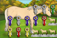 Horse Color:Palomino Dun Sabino 