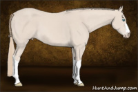 Horse Color:Smoky Creme 