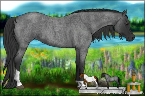 Horse Color: Blue Roan Tobiano 