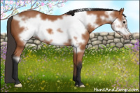 Horse Color:Bay Frame 