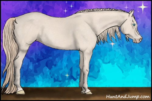 Horse Color: Perlino 