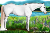 Horse Color:Grullo Blanket 