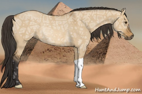 Horse Color: Buckskin Ice Dun Rabicano 