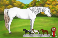 Horse Color:Chestnut Tobiano Blanket 