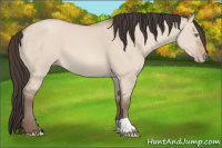 Horse Color:Sable Champagne Dun 