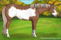 Horse Color:Liver Chestnut Frame