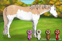 Horse Color:Gold Champagne Splash 