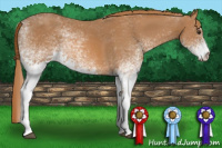 Horse Color:White Spotted Chestnut 