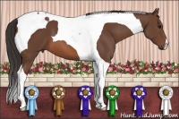 Horse Color:Bay Tobiano