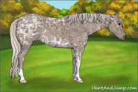 Horse Color:Silver Blue Ice Roan 
