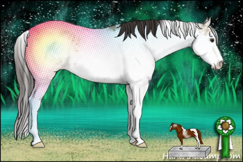 Horse Color: Buckskin Dun Sabino 