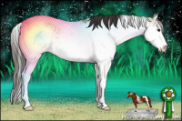 Horse Color:Buckskin Dun Sabino 