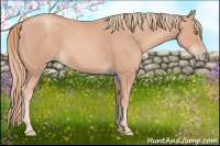 Horse Color:Gold Champagne Rabicano