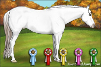 Horse Color:Black Splash Frame Appaloosa Rabicano 