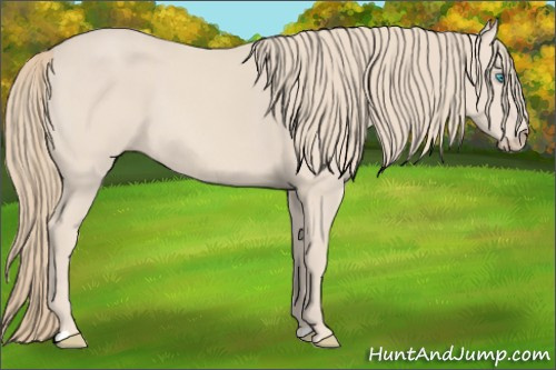 Horse Color: Smoky Creme 