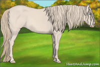 Horse Color:Smoky Creme 
