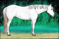 Horse Color:Grullo Roan Splash Appaloosa 
