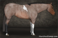 Horse Color:Bay Roan Tobiano