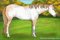 Horse Color:Smoky Black Pearl Frame 