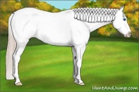 Horse Color:Palomino Roan Dun Splash Frame Blanket 