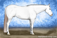 Horse Color:Bay Roan Dun Splash Appaloosa