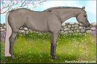 Horse Color:Silver Grullo