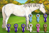 Horse Color:White Spotted Perlino Dun 