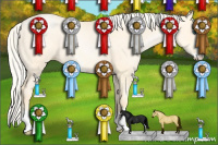 Horse Color:Palomino Pearl Dun Sabino