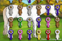 Horse Color:White Spotted Perlino Dun 
