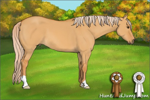Horse Color: Palomino Dun 