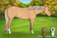 Horse Color:Palomino Dun 