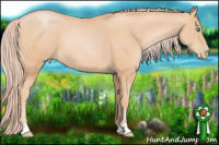 Horse Color:Chocolate Palomino Pearl 