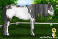 Horse Color:White Spotted Brown Frame