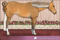 Horse Color:Silver Buckskin 