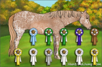 Horse Color:Chestnut Ice Rabicano