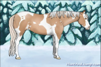 Horse Color:Silver Black Pearl Sabino Splash Tobiano 