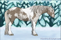 Horse Color:Silver Smoky Black Ice Tobiano 