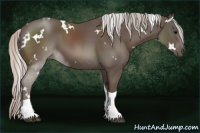 Horse Color:White Spotted Silver Black Tobiano