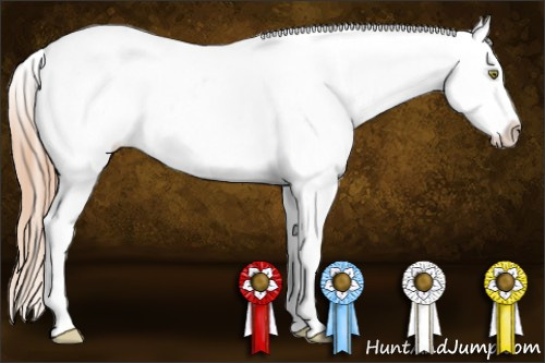 Horse Color: White Spotted Gold Champagne Blanket 