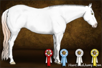 Horse Color:White Spotted Gold Champagne Appaloosa 